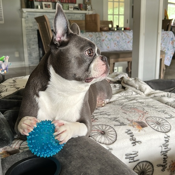 Meet your Posher, Medalys - Picture 12 of 12